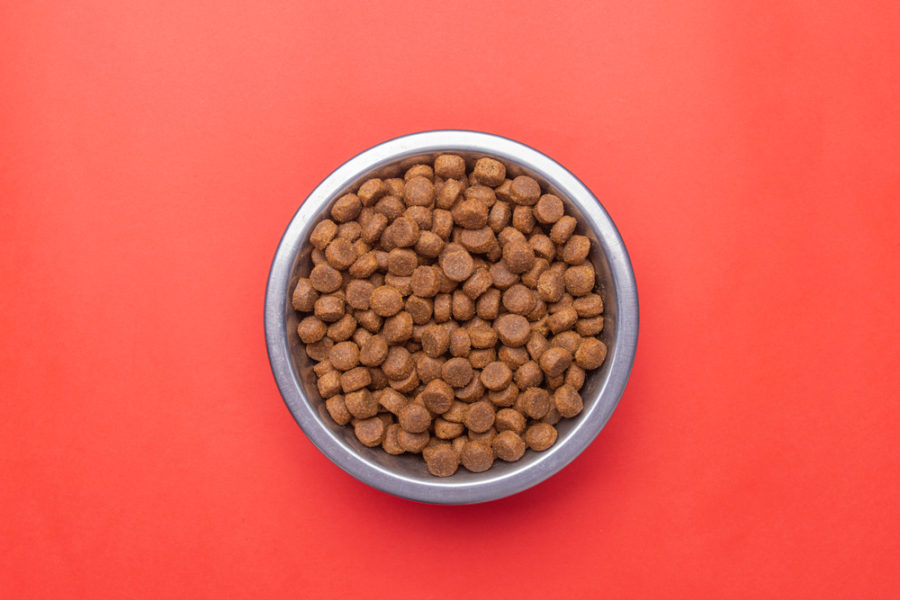 Pet meals homework: 3 steps to a greater bowl